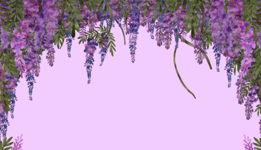 藤の花背景（3種）